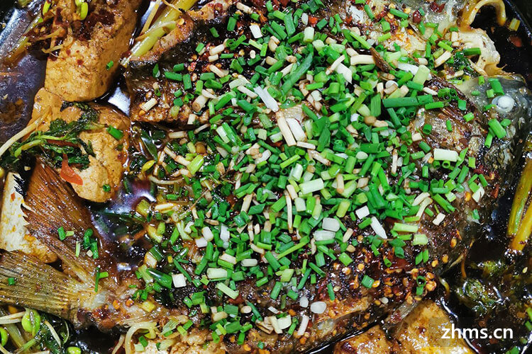 龿½®ç¤é±¼å¾